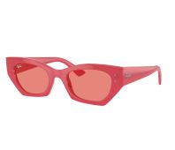Ray-Ban Sunglasses Zena RB4430 667787