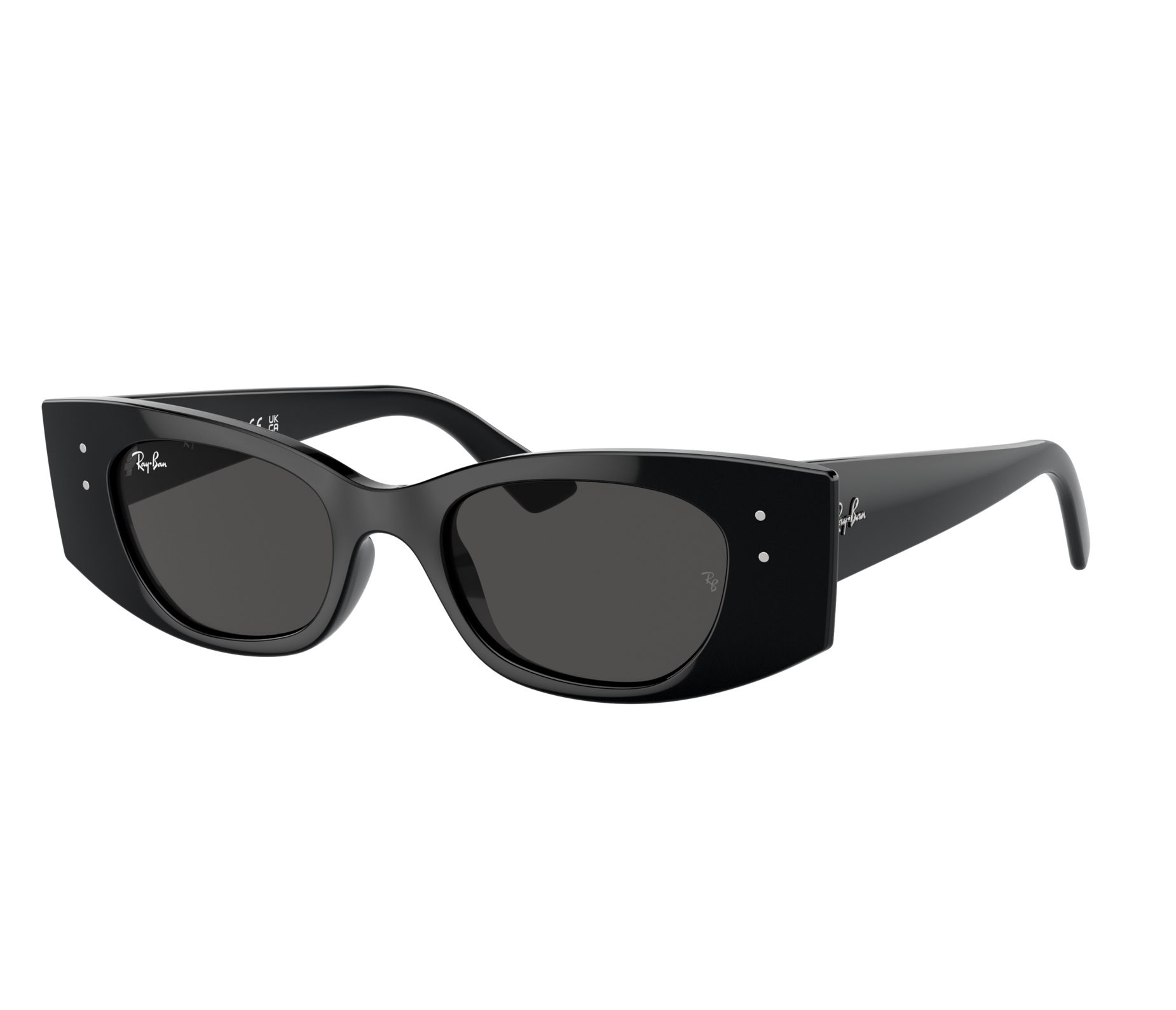 Ray-Ban sunglasses RB4427 667787 49 20 Black - 