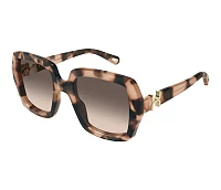 Chloe Sunglasses CH0301S 006 52-22