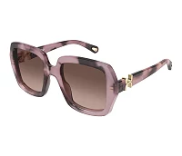 Chloe Sunglasses CH0301S 007 52-22
