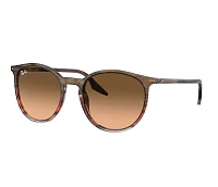 Ray-Ban Sunglasses RB2204 13953B 51-20