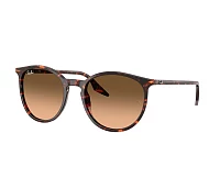Ray-Ban Sunglasses RB2204 14293B 51-20