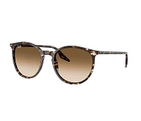 Ray-Ban Sunglasses RB2204 143151 51-20