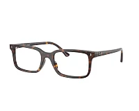 Ray-Ban eyeglasses RX5445 2012 52-19