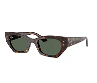 Ray-Ban Sunglasses RB4430 135971 49-22