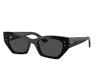 Ray-Ban Sunglasses RB4430 667787 49-22