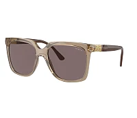 Vogue Eyewear Sunglasses VO5476SB 29407N 54-17
