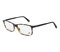 Web eyeglasses WE-5320 056 57-16