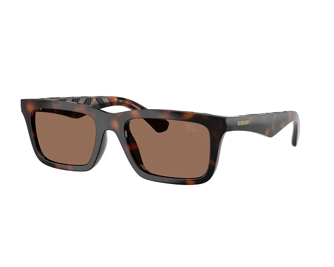 Burberry sunglasses BE4475U 300273 53 19 Brown