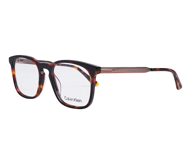 Calvin Klein eyeglasses CK-22503 609 53 19 HavanaGold walnut