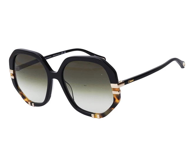 Chloe sunglasses CH0105S 002 58 18 Black