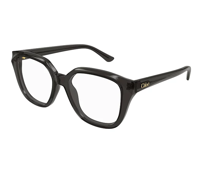 Chloe eyeglasses CH0293O 001 53 17 Grey