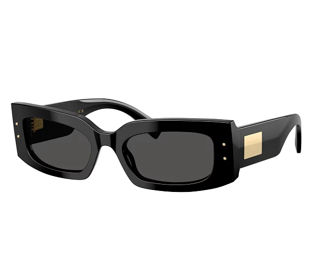 Dolce & Gabbana sunglasses DG4479 501/87 55 20 Black