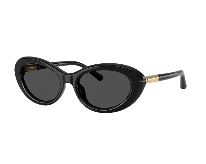 Dolce & Gabbana sunglasses DG4519 501/87 54 18 Black