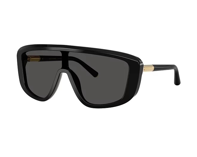 Dolce & Gabbana sunglasses DG4520 501/87   Black