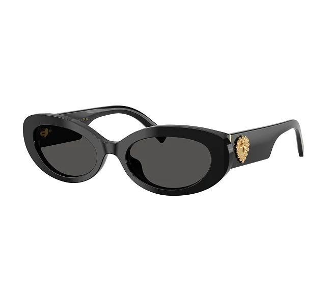 Dolce & Gabbana sunglasses DG4537 501/87 53 19 Black