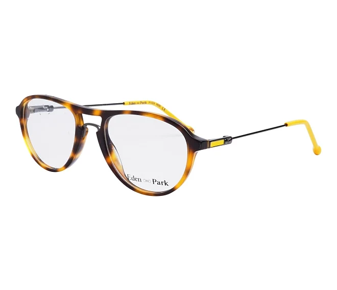 Eden Park eyeglasses P-1024 4690 47 17 HavanaSilver