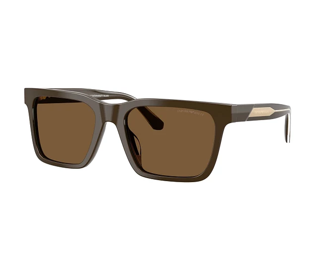 Emporio Armani sunglasses EA4262U 630773 57 19 Brown