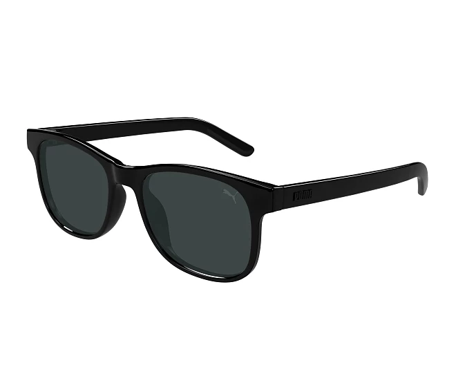 Puma sunglasses PJ0080S 001 48 16 Black