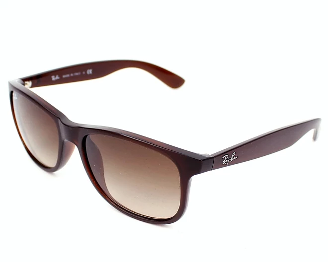 Ray-Ban sunglasses RB-4202 6073/13 55 17 Brown