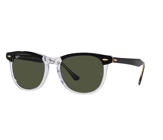 Ray-Ban sunglasses RB2398 129431 53 21 Black