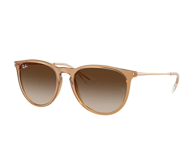 Ray-Ban sunglasses RB4171 681413 54 18 Brown