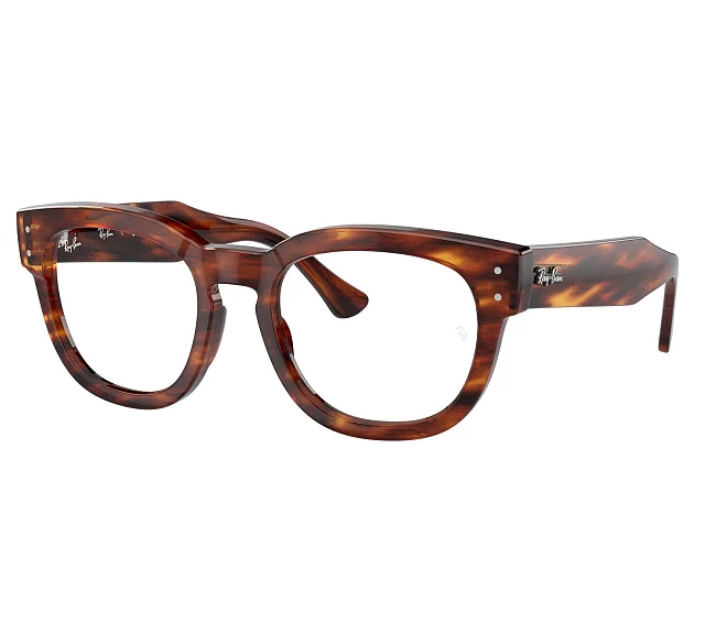 Ray-Ban eyeglasses RX0298V 2144 50 21 Brown