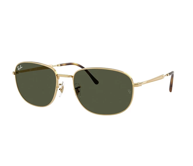 Ray-Ban sunglasses RB3754 001/31 60 19 Gold