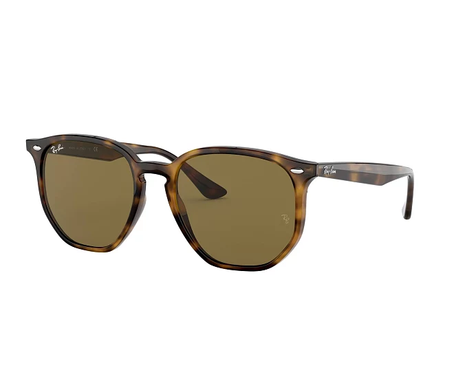 Ray-Ban sunglasses RB4306 710/73 54 19 Havana