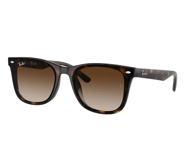 Ray-Ban sunglasses RB4420 710/13 65 18 Havana