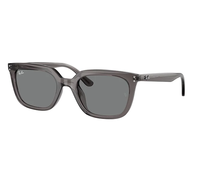 Ray-Ban sunglasses RB4439D 667587 54 21 Grey