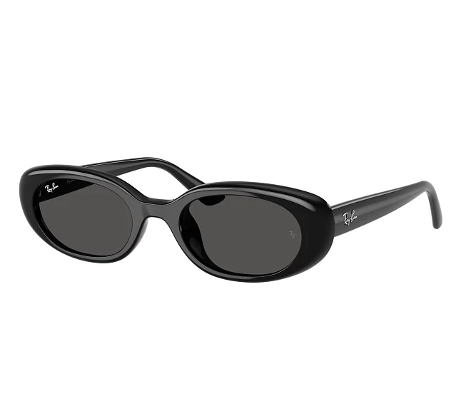 Ray-Ban sunglasses RB4441D 667787 53 21 Black