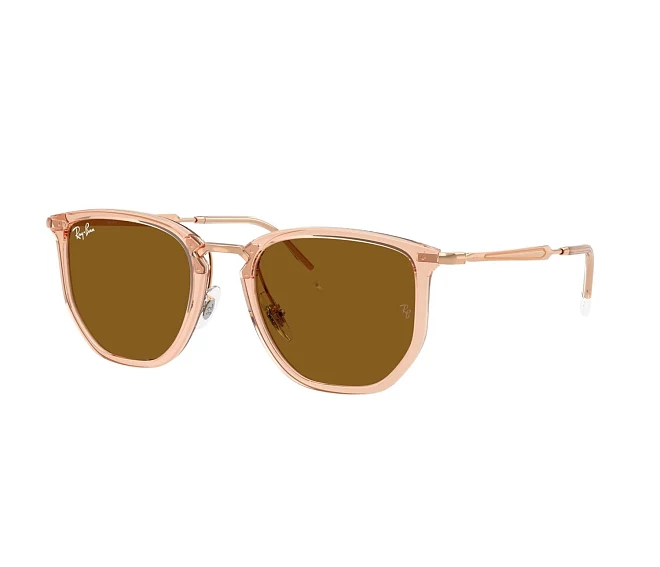 Ray-Ban sunglasses RB4451 680133 50 20 Brown
