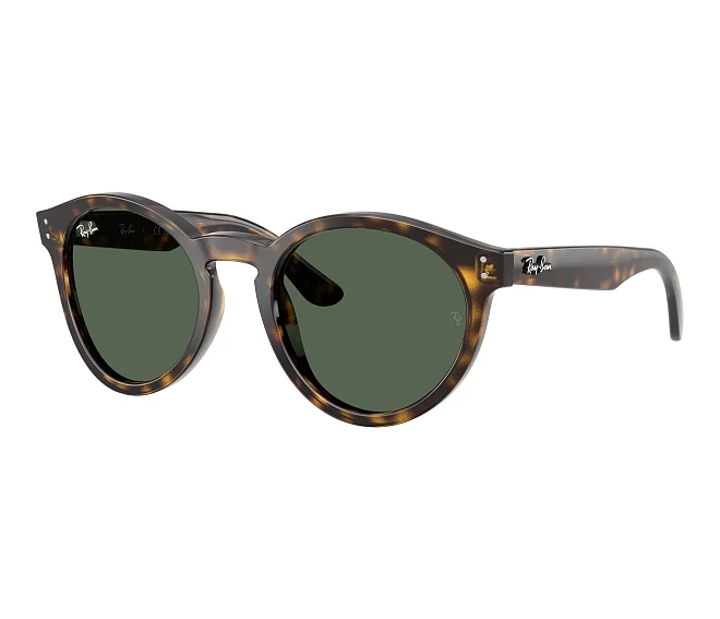 Ray-Ban sunglasses RBR0505S 6790VR 52 22 Havana