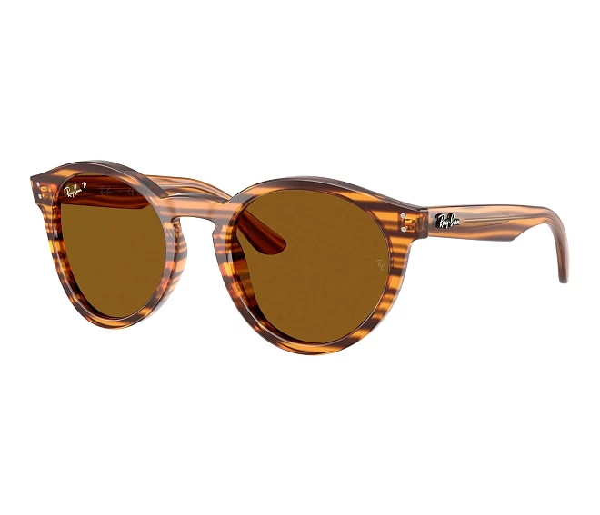 Ray-Ban sunglasses RBR0505S 679183 52 22 Brown