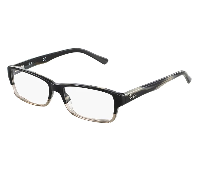 Ray-Ban eyeglasses RX-5169 5540 52 16 BlackMix