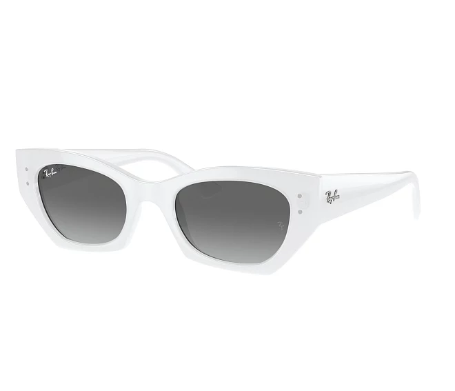 Ray-Ban sunglasses RB4430 675911 49 22 White