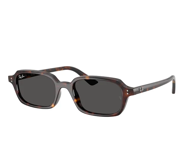 Ray-Ban sunglasses RB4455 135987 49 19 Havana