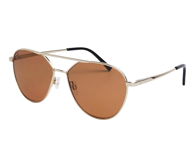 Serengeti sunglasses SS555 001 56 15 GoldBlack