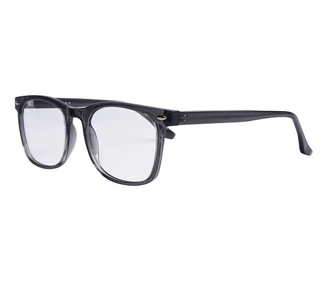 Sun eyeglasses CP112 C 54 19 Grey