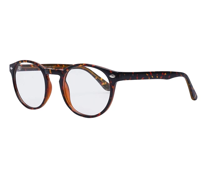 Sun eyeglasses CP148 HAVANE 49 21 Havana