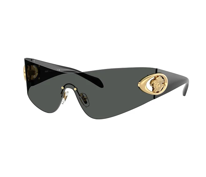 Versace sunglasses VE2280 100287   Grey