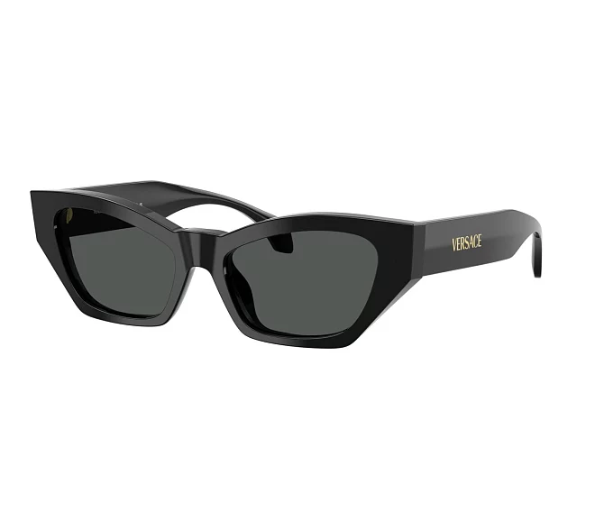 Versace sunglasses VE4488U GB1/87 53 17 Black