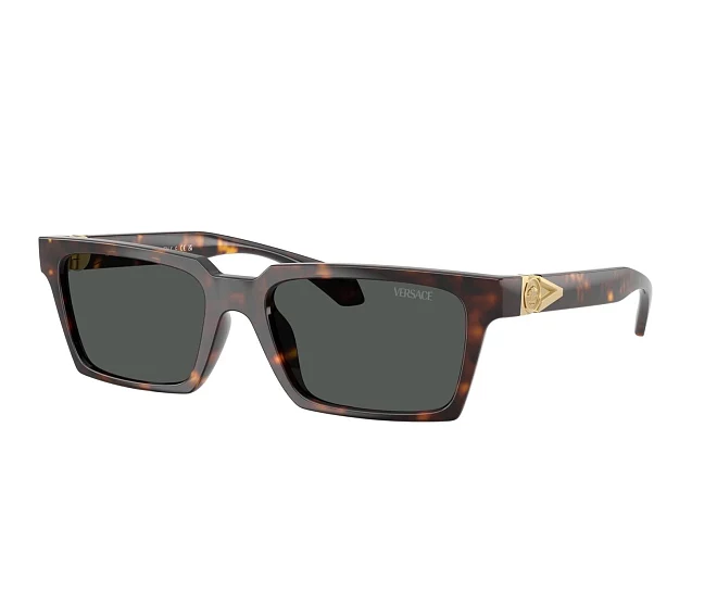 Versace sunglasses VE4490U 108/87 55 18 Havana