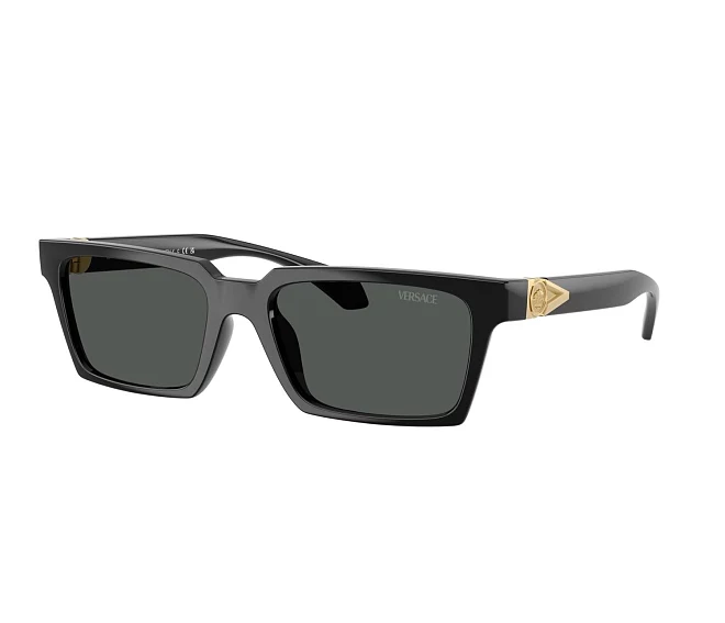 Versace sunglasses VE4490U GB1/87 55 18 Black