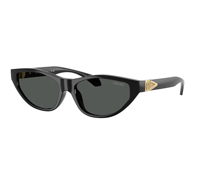 Versace sunglasses VE4491U GB1/87 55 16 Black