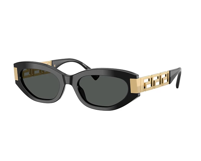 Versace sunglasses VE4501 GB1/87 54 19 Black