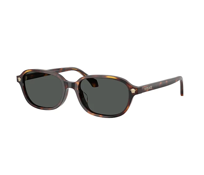Versace sunglasses VE4514D 553773 53 17 Havana