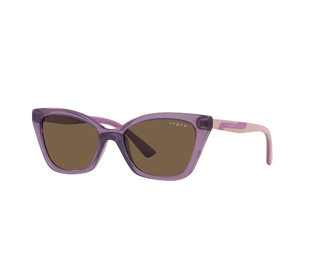 Vogue Eyewear sunglasses VJ2020 306473 48 16 Purple