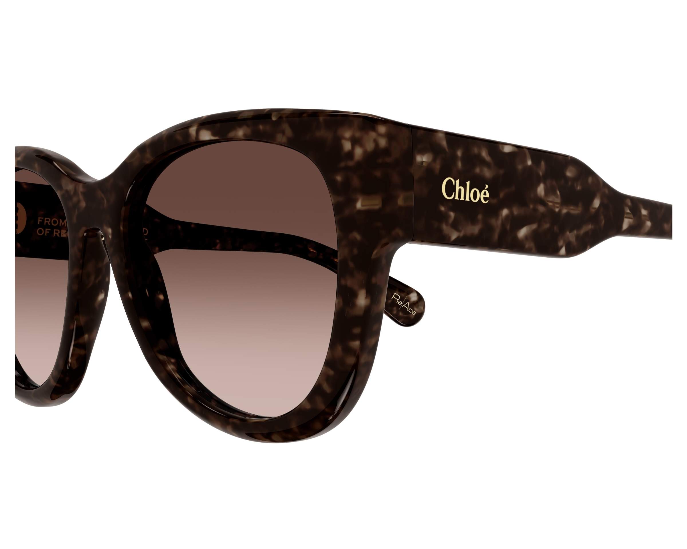 NWT Chloé CH0192S Havana 002 Cat Eye Sunglasses 55□18-145 MSRP $415 Chloé CH0192S 002 Sunglasses Shiny Havana - eye-oo.com main image 2